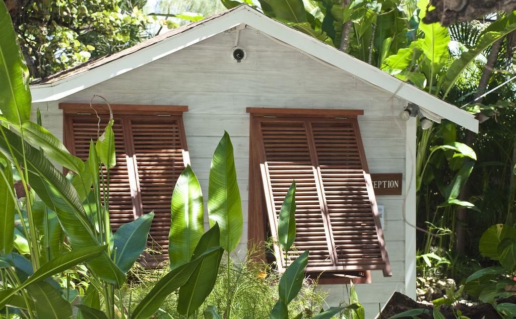 Eco Lifestyle And Lodge Bathsheba Εξωτερικό φωτογραφία