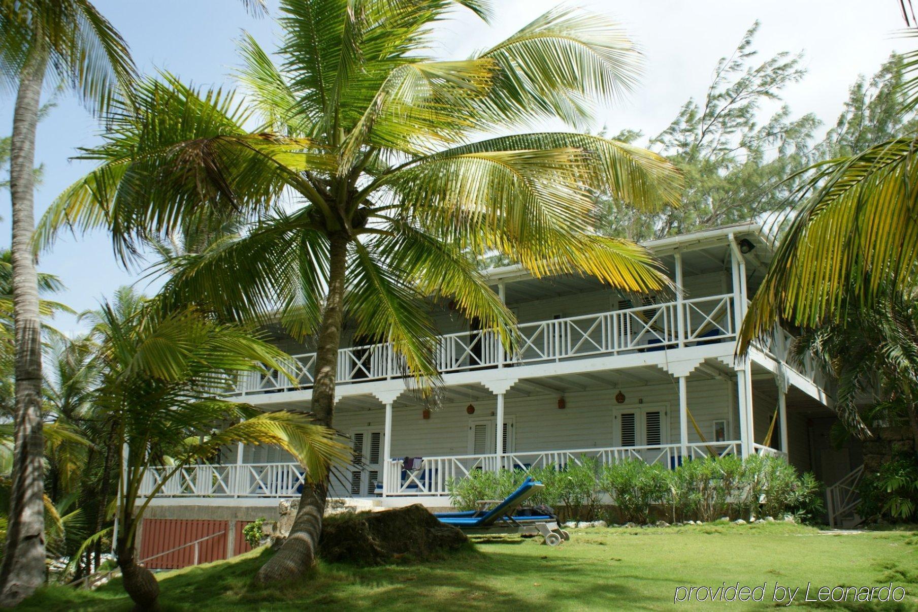 Eco Lifestyle And Lodge Bathsheba Εξωτερικό φωτογραφία