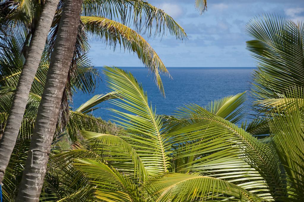 Eco Lifestyle And Lodge Bathsheba Εξωτερικό φωτογραφία