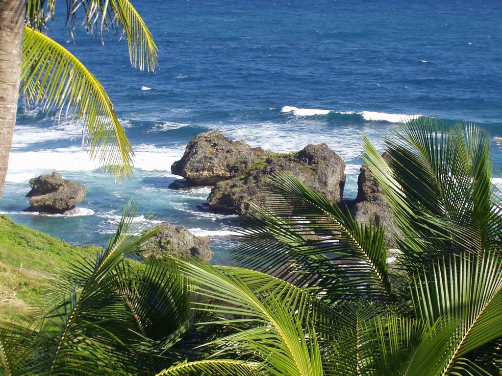 Eco Lifestyle And Lodge Bathsheba Εξωτερικό φωτογραφία
