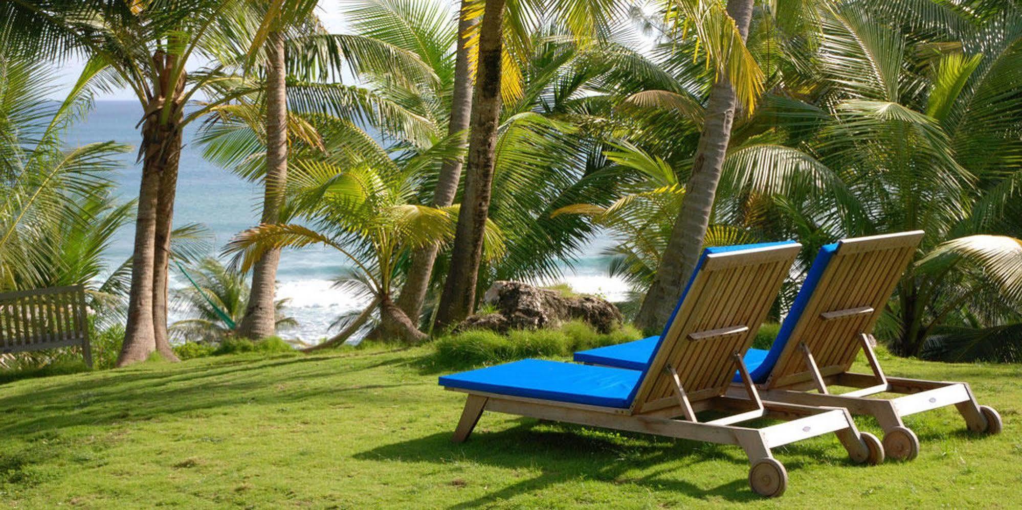 Eco Lifestyle And Lodge Bathsheba Εξωτερικό φωτογραφία