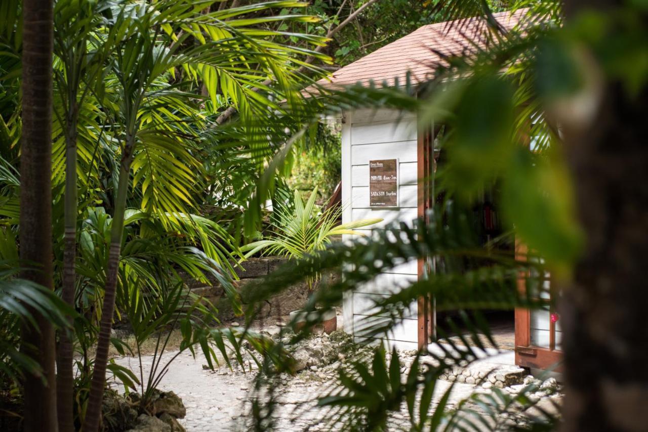 Eco Lifestyle And Lodge Bathsheba Εξωτερικό φωτογραφία