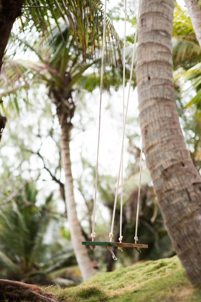 Eco Lifestyle And Lodge Bathsheba Εξωτερικό φωτογραφία