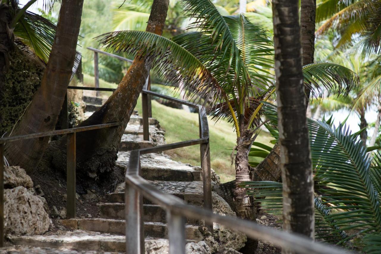 Eco Lifestyle And Lodge Bathsheba Εξωτερικό φωτογραφία