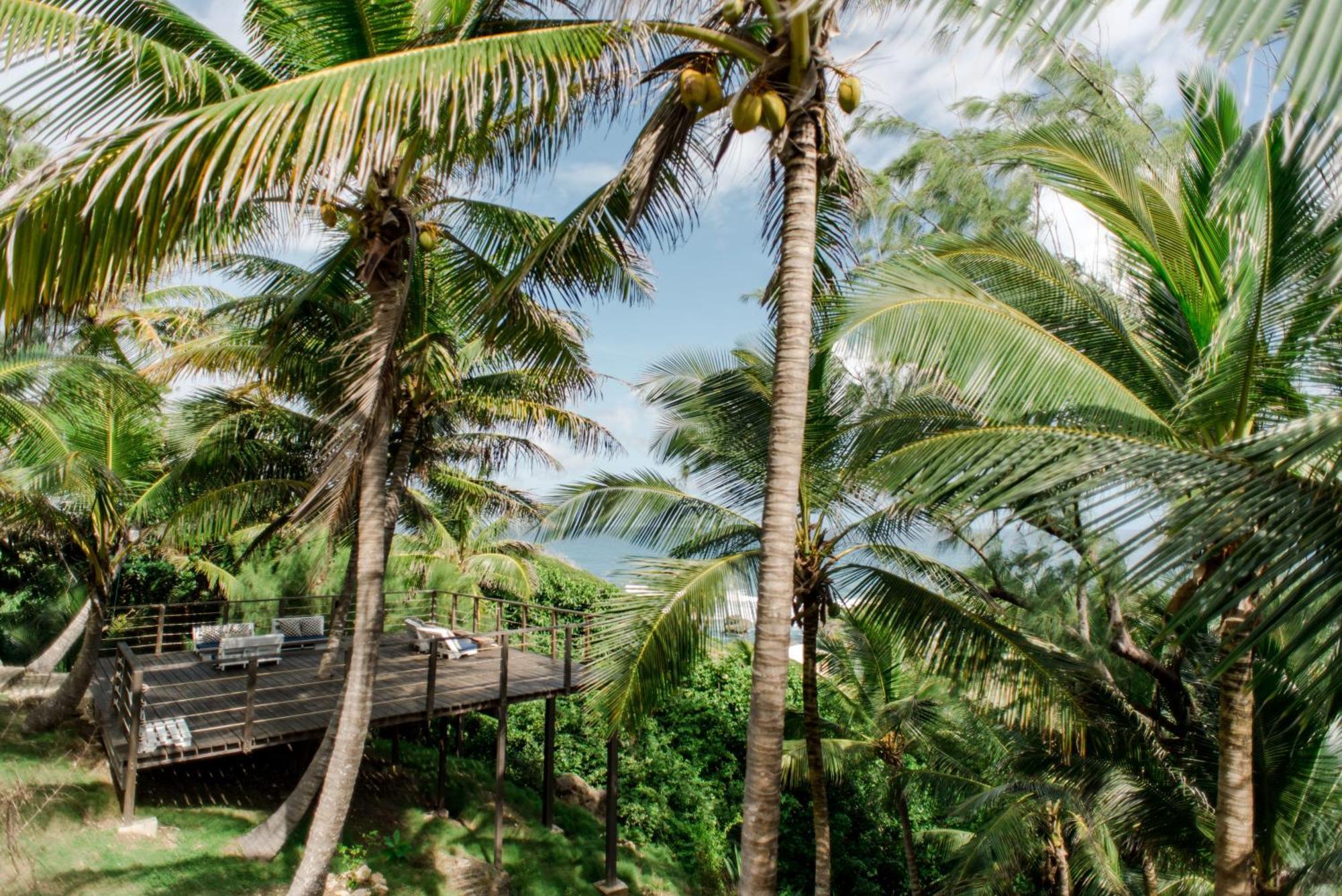 Eco Lifestyle And Lodge Bathsheba Εξωτερικό φωτογραφία